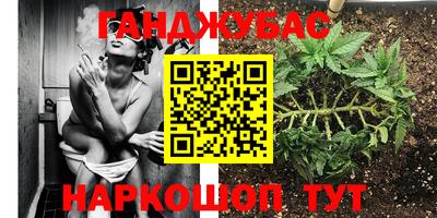 винт Михайловка